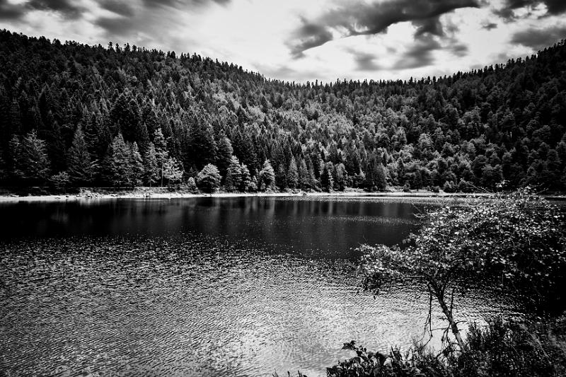 2017_08_25_Vosges (0076)b-w.jpg - Lac des Corbeaux (Vosges 2017)